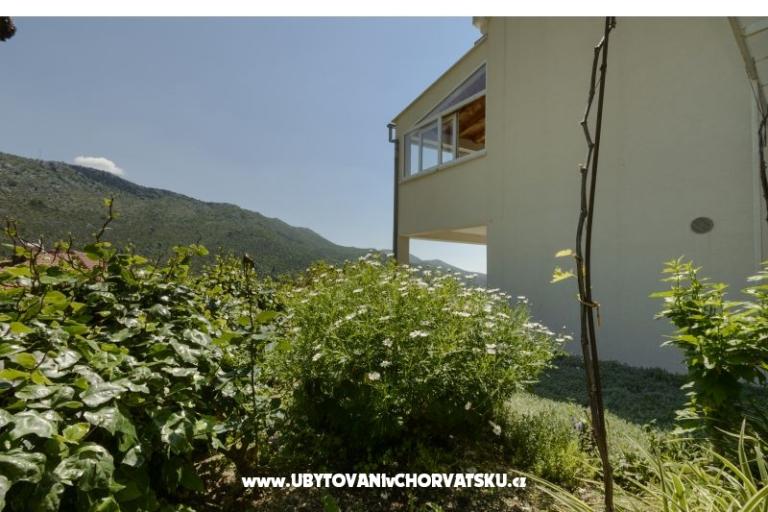Appartamento Markovic – foto 9