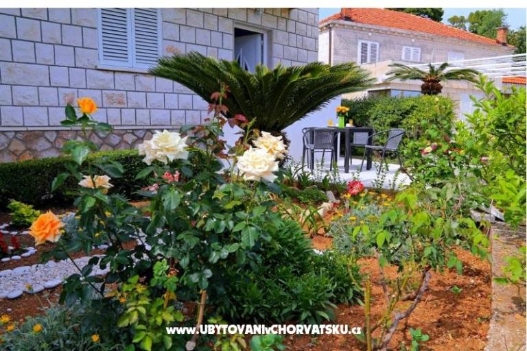 Appartamenti LOVE DUBROVNIK – foto 14