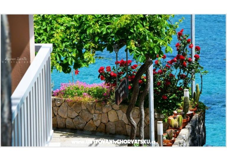 Villa Ana Appartamenti – foto 3