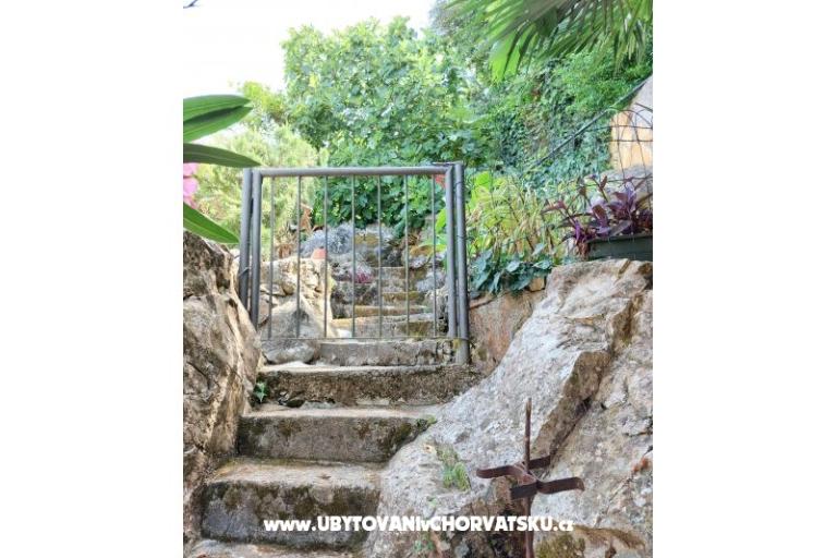 Appartamenti Villa Riva Molunat – foto 17