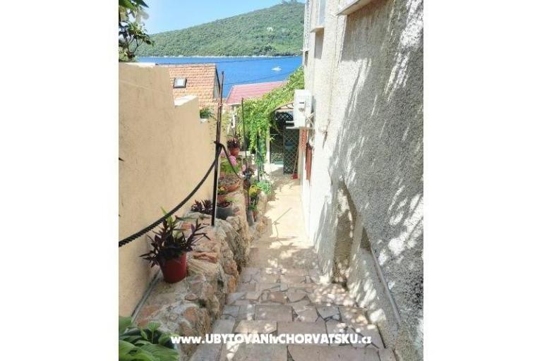 Appartamenti Villa Riva Molunat – foto 9