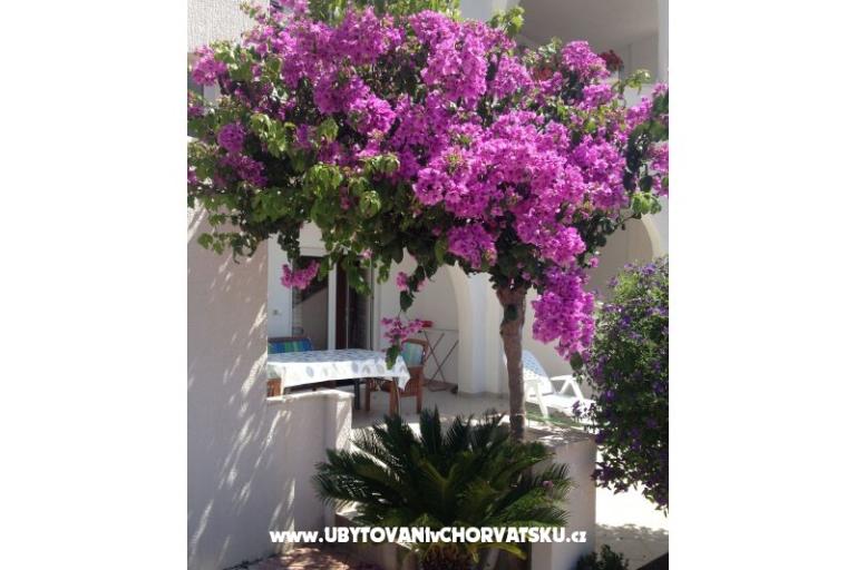 Villa Orij Appartamenti – foto 5
