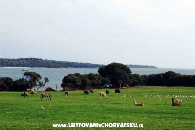 Appartamento Buzleta – foto 16