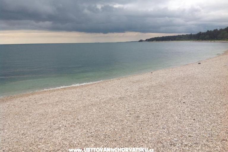 Appartamento Dylan – foto 8