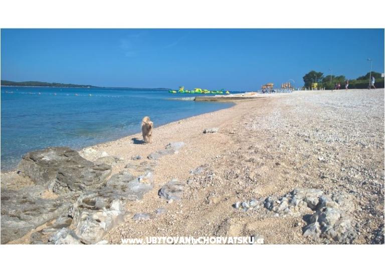 Appartamento Flora – foto 13
