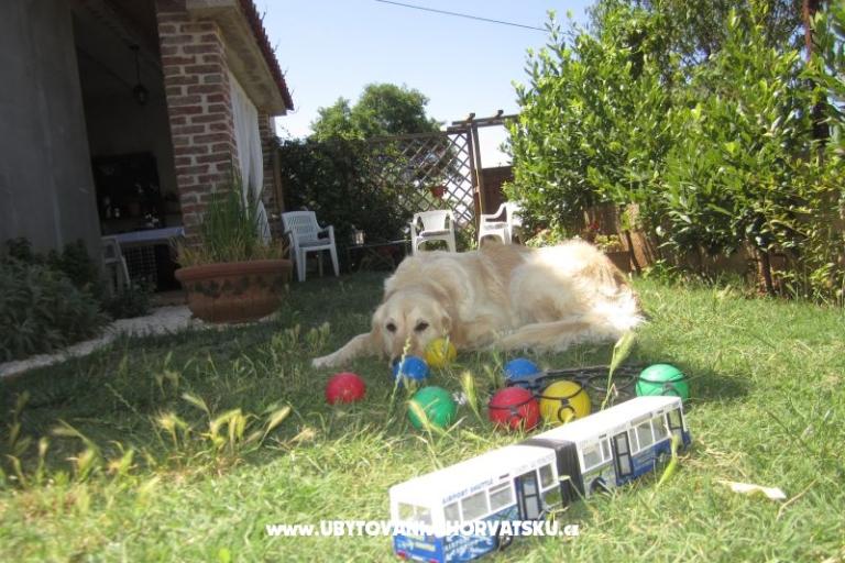 Appartamento Flora – foto 14