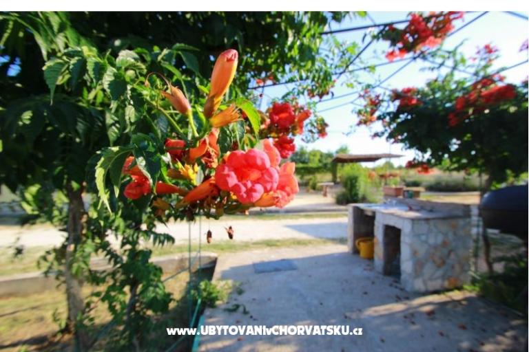 Appartamento Sandra  – foto 11