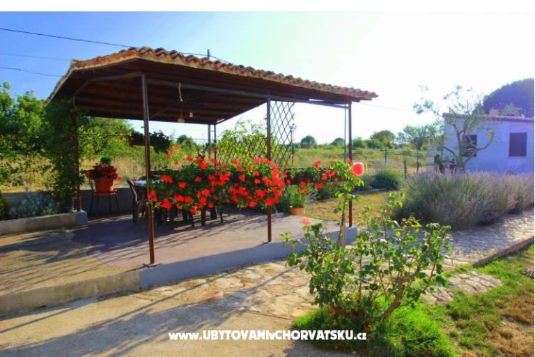 Appartamento Sandra  – foto 8