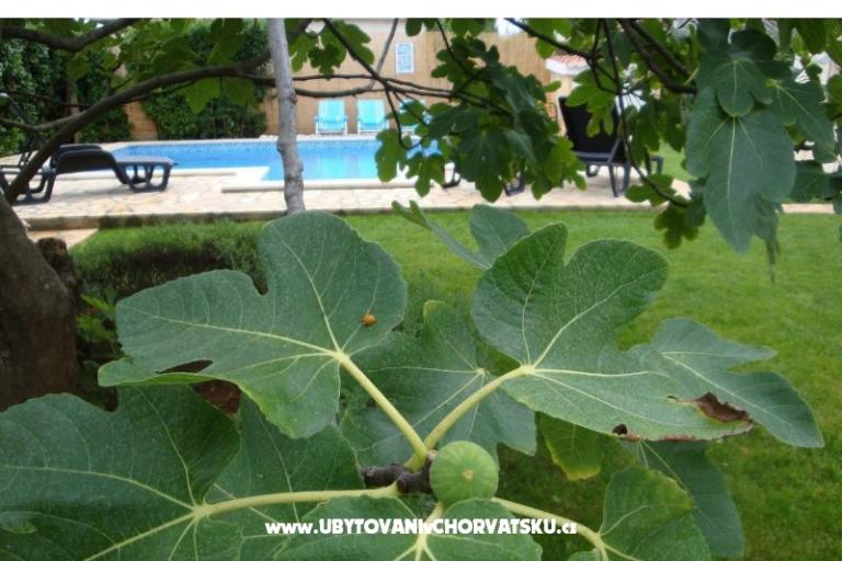 Appartamenti Dorijo – foto 8