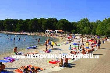 Appartamento Zoran - Valbandon  – foto 10
