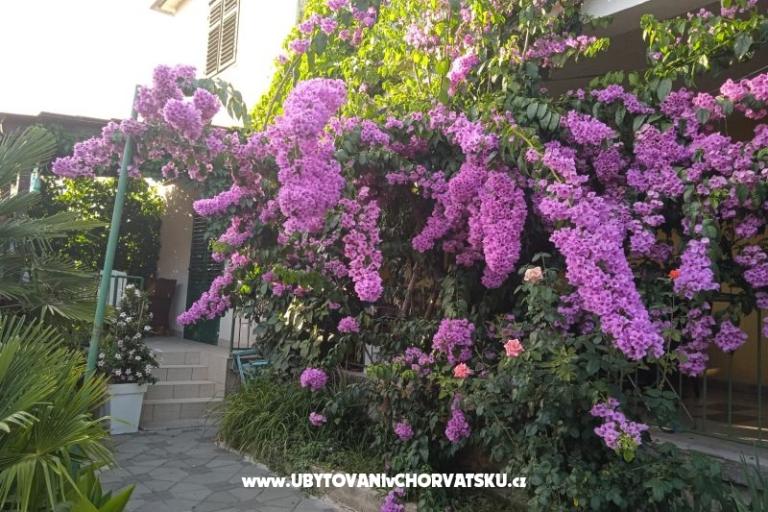 Appartamenti Majica – foto 6