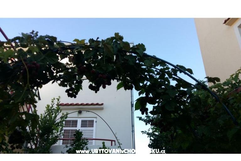 Appartamenti Matej – foto 14