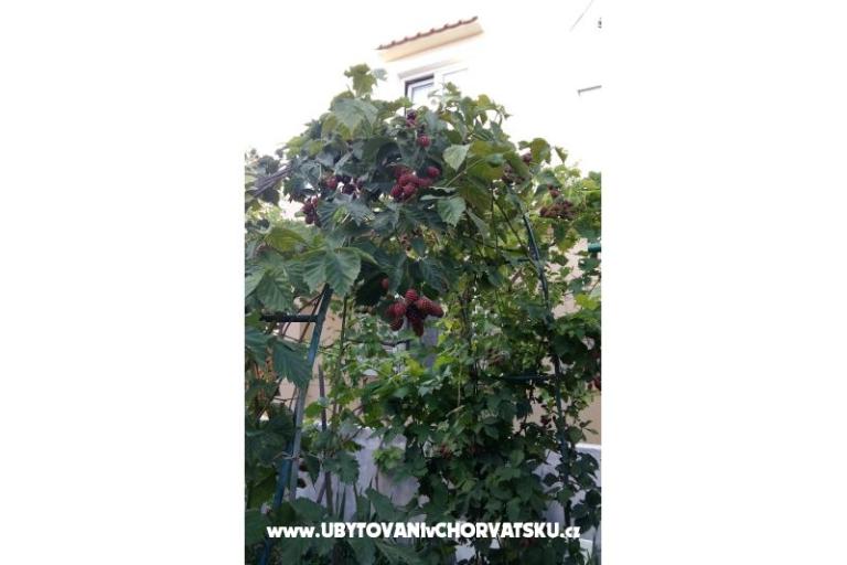 Appartamenti Matej – foto 5