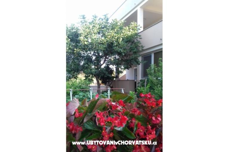 Appartamento   " ARZENŠEK " – foto 12