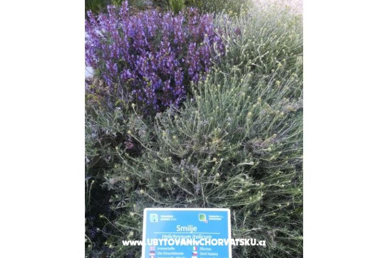 Appartamenti Colić – foto 14