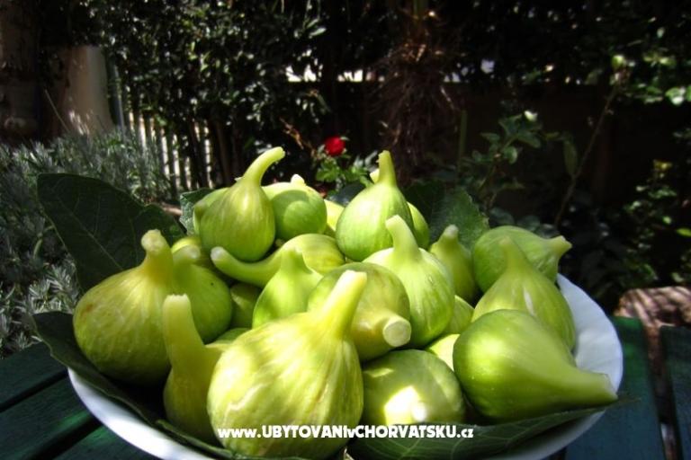 Appartamenti FJAKA – foto 15