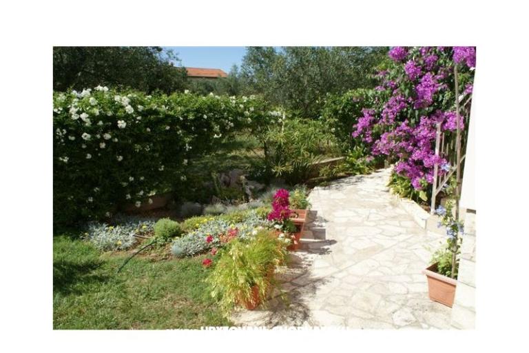 Appartamenti Vodopija od 55eur/2 os – foto 6