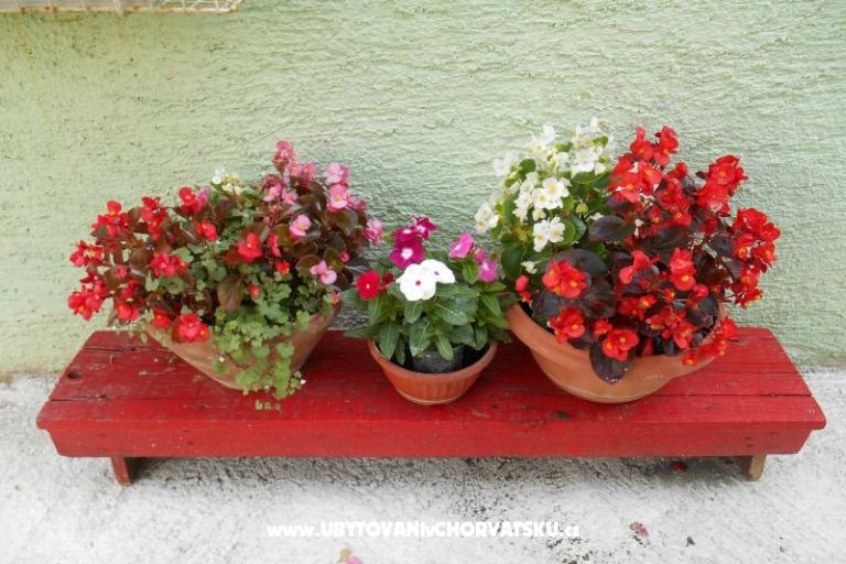 Appartamenti Mirjana – foto 12
