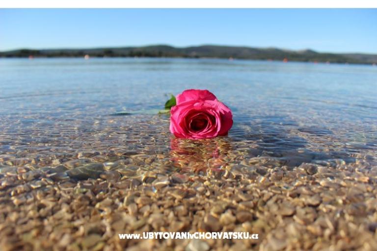 Beach Casa Amarella – foto 14