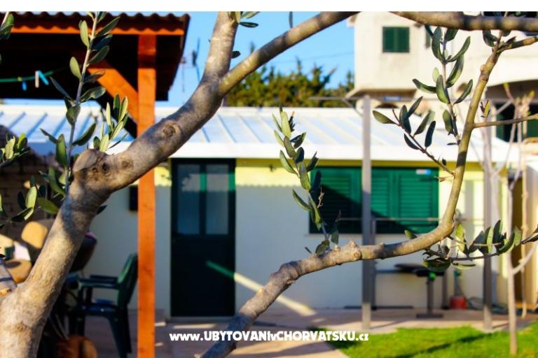 Beach Casa Amarella – foto 2