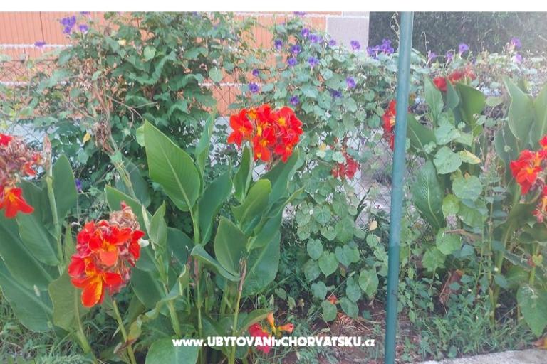 Appartamenti Misulic Turanj – foto 16