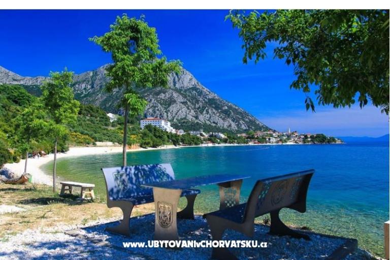 Appartamenti Delfin – foto 11