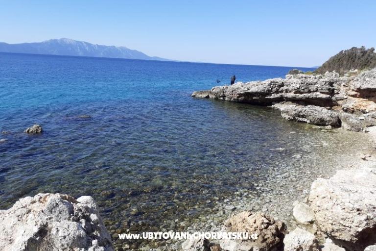 Appartamenti lujo – foto 10