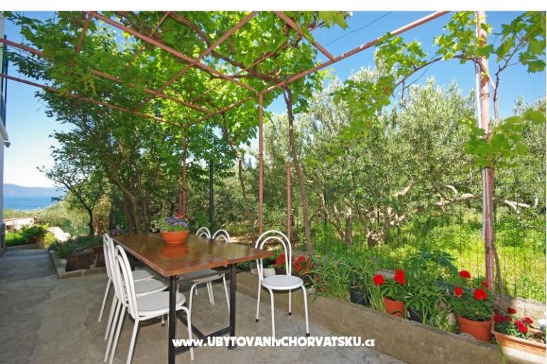 Appartamenti i sobe Maslina – foto 16