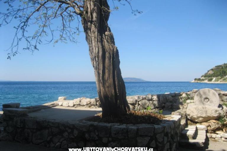 Appartamento Ines – foto 9