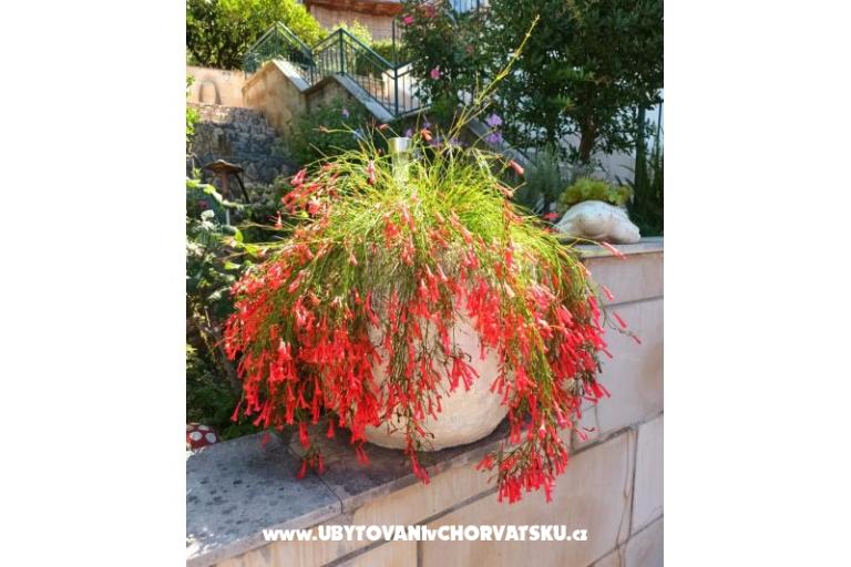 Appartamenti Ivana  – foto 19