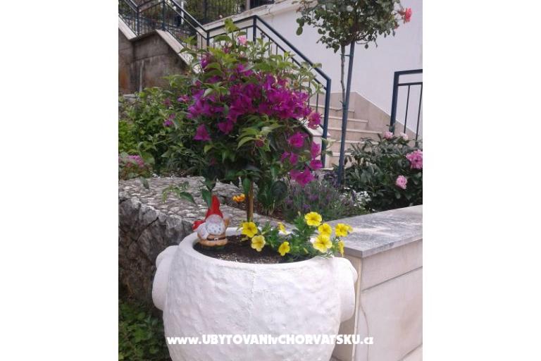 Appartamenti Ivana  – foto 26