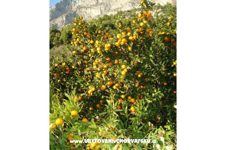 Appartamenti Ivana  – foto 27