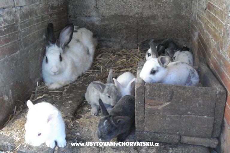 Appartamenti Ivana  – foto 29