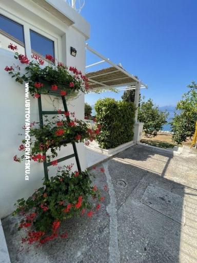 Appartamenti Mimoza – foto 14