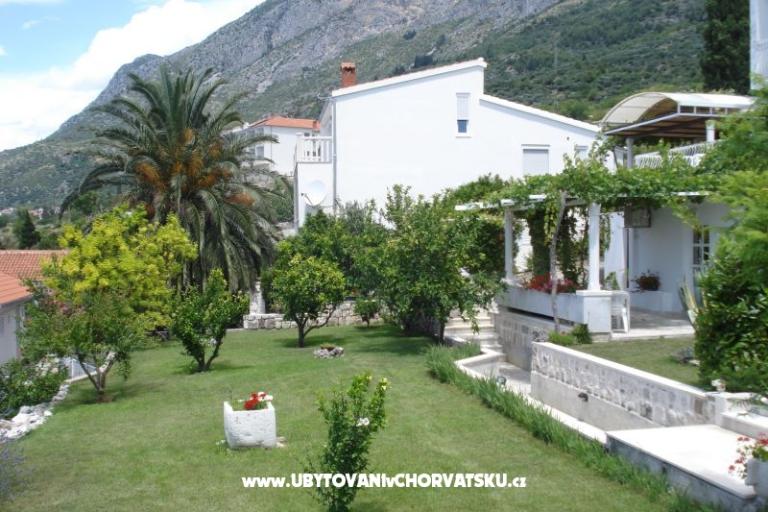 Appartamenti Mimoza – foto 16