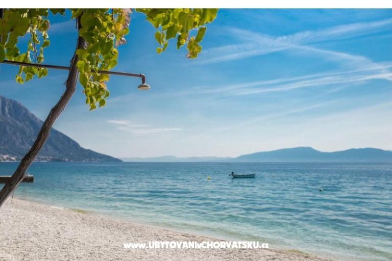 Appartamenti Mira – foto 8