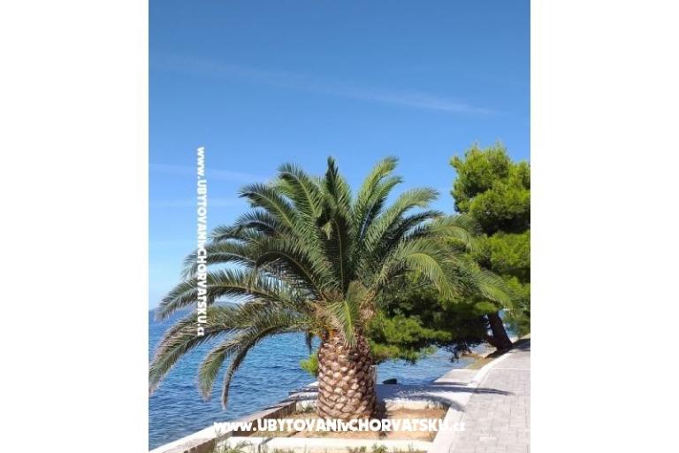 Appartamenti NIKOLA – foto 7
