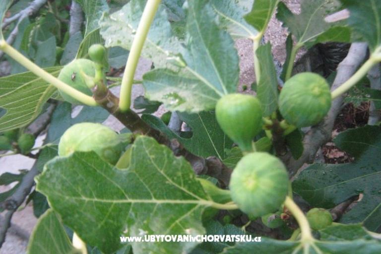 Appartamento Visko – foto 10