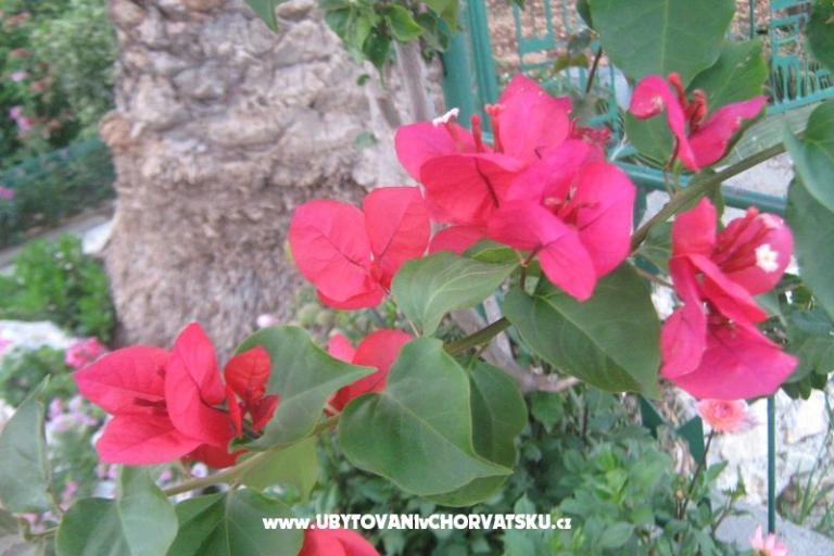 Appartamento Visko – foto 9