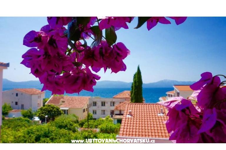 Appartamenti Jerković Gradac – foto 7