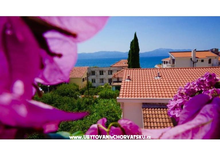 Appartamenti Jerković Gradac – foto 8