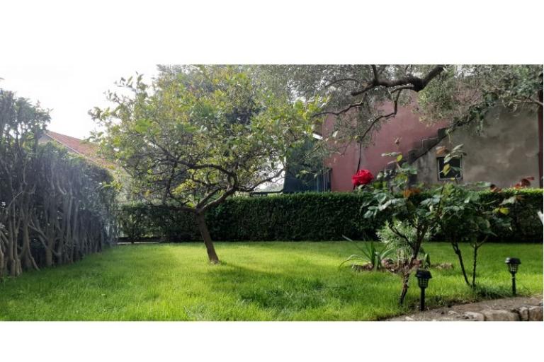 Appartamento Toth – foto 9
