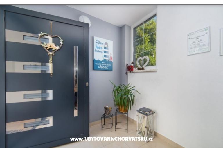 Color Appartamenti Miošić – foto 8