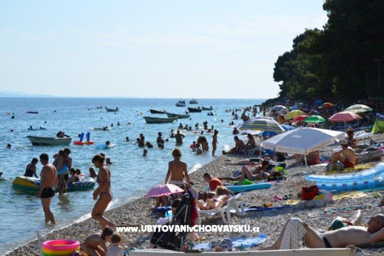 Goga – foto 7