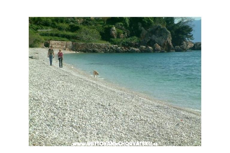 Appartamenti Gradina – foto 11