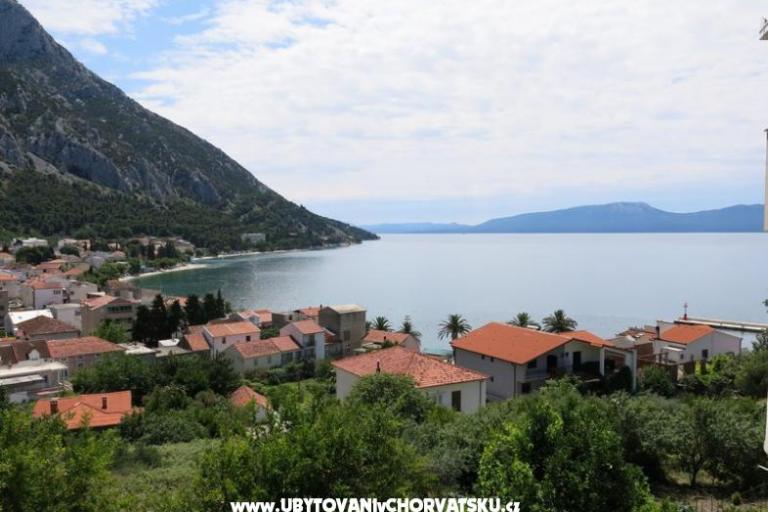 Appartamenti Gradina – foto 5