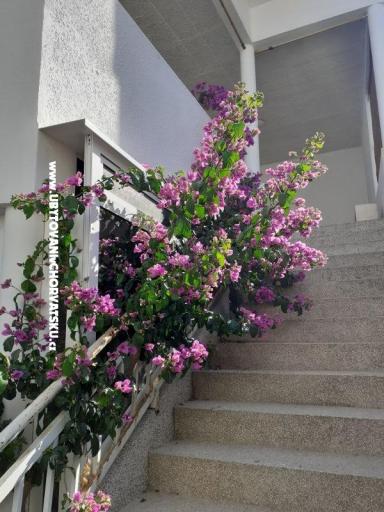 Camere Katja Gradac center – foto 18