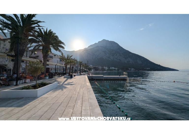 Vice Appartamenti – foto 7