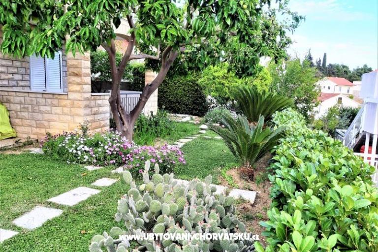  Appartamenti Tamara – foto 5