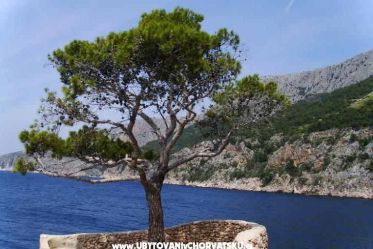 Appartamenti Anja – foto 7